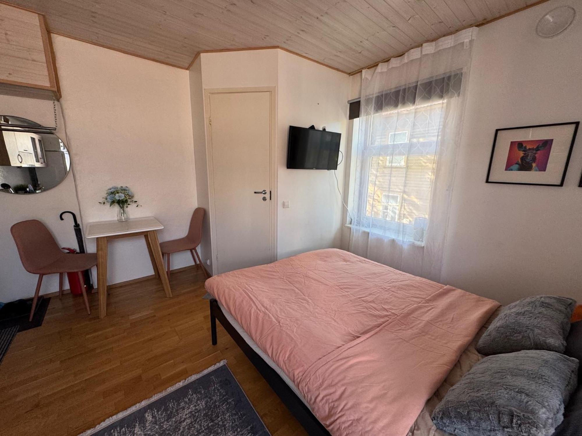 Laura Comfy Kappeli 8-2 29 Near Airport Next To The Bus Station Reval